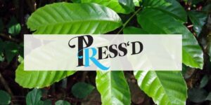 pressd review