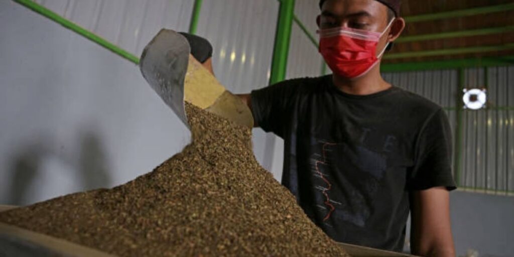 gold kratom